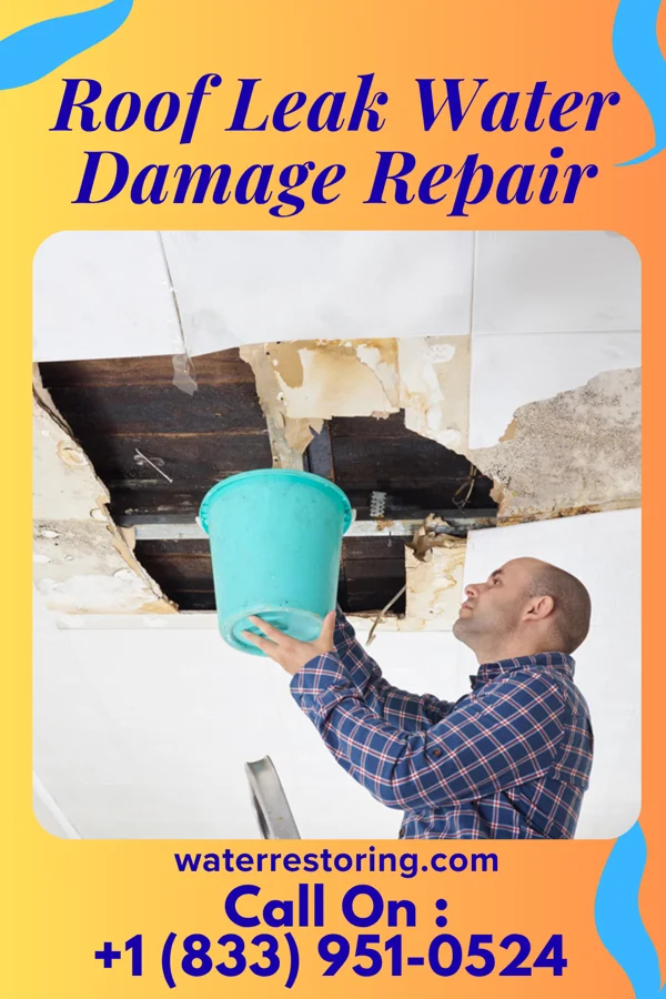 Roof Leak Water Damage Repair in Merwin, MO