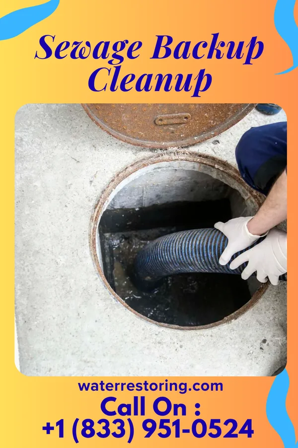 Sewage Backup Cleanup in Merwin, MO